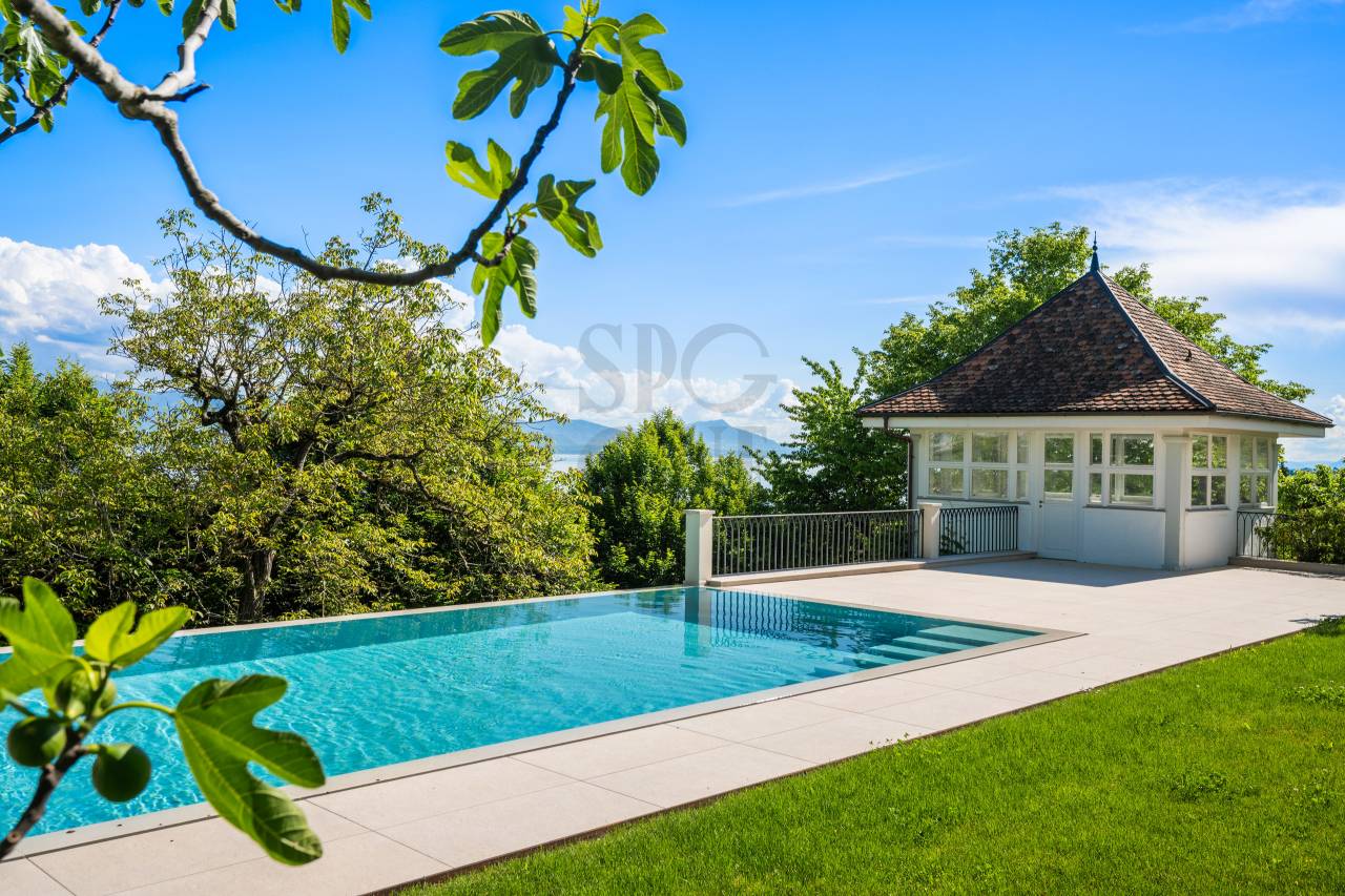 sale_5350929_01_5350929_1_42729467.jpg