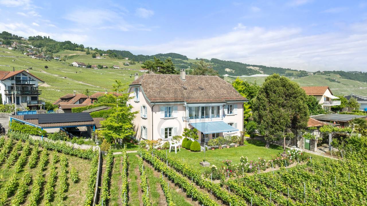 sale_6037727_10_6037727_10_41139179.jpg
