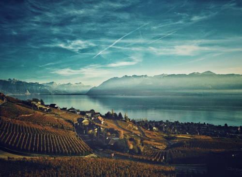 The canton of Vaud and its popular shores