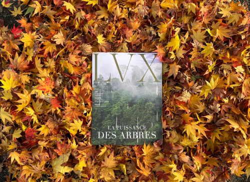 LVX : Le magazine qui fait la lumière sur notre époque