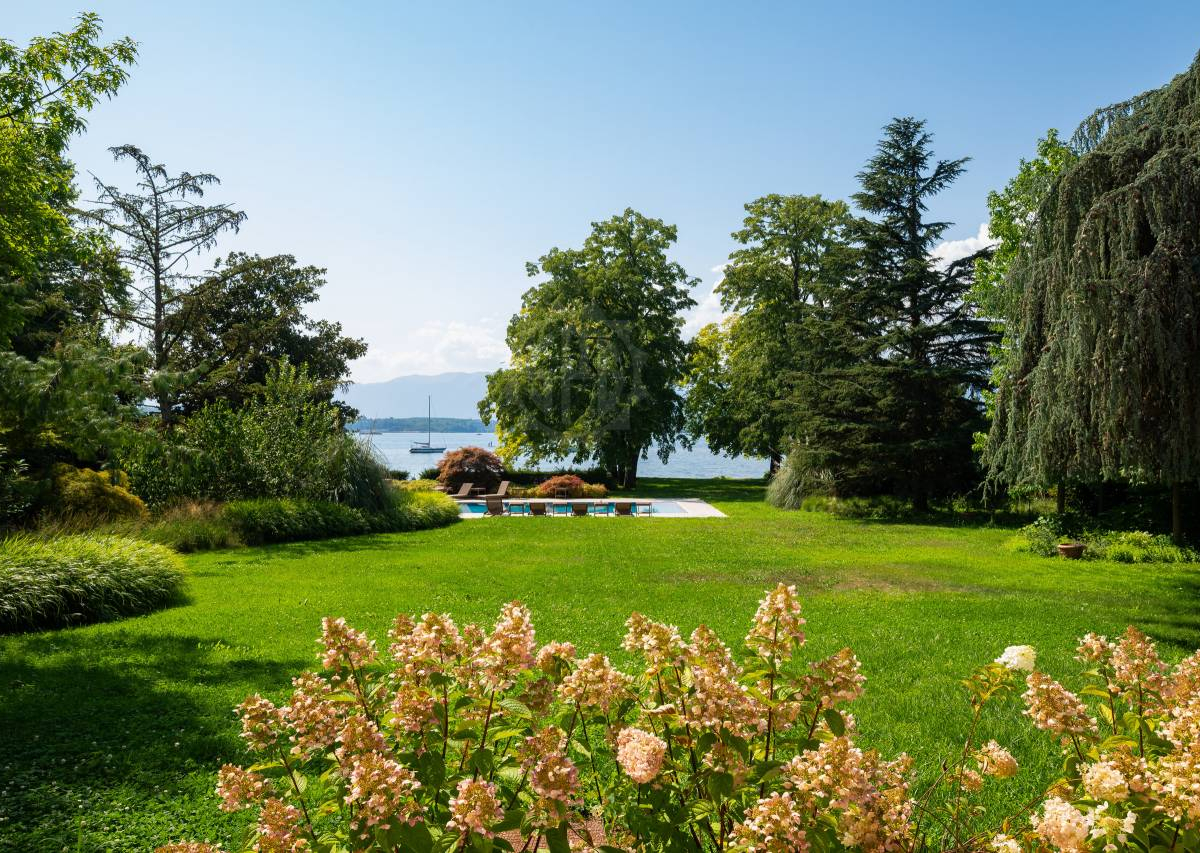 Vésenaz : Magnifique villa de 14 pièces pied dans l'eau