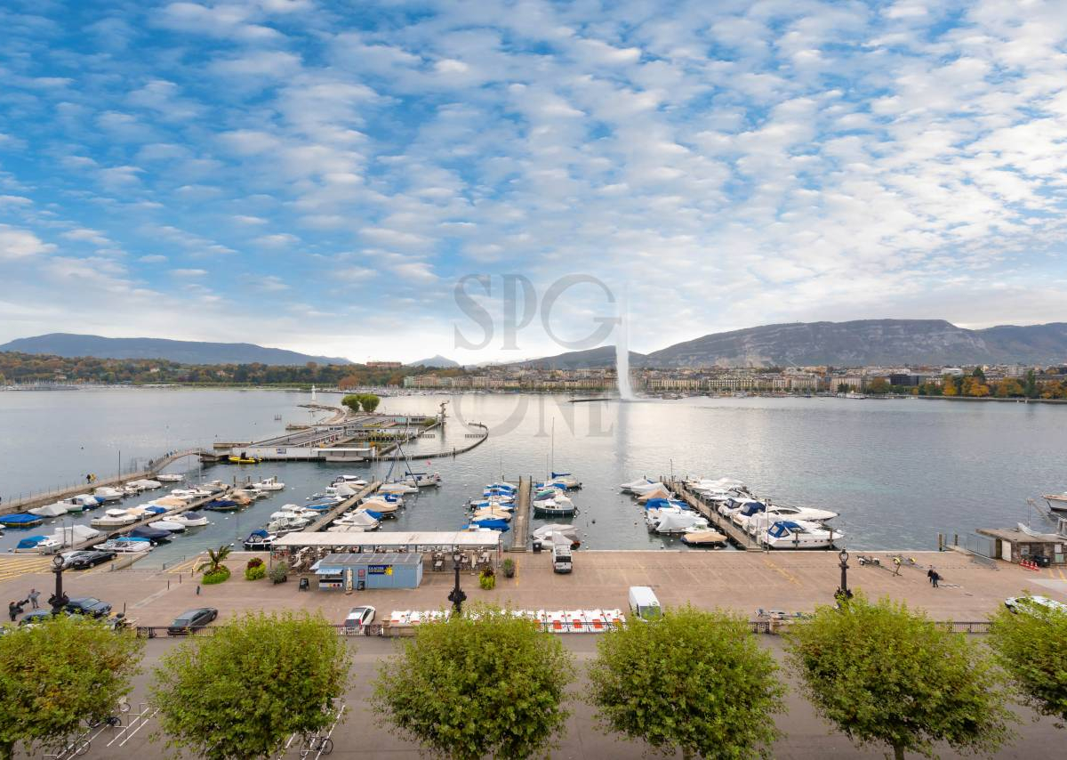 Spg One Situation Prestigieuse Face Au Jet D Eau Geneve Appartement Acheter