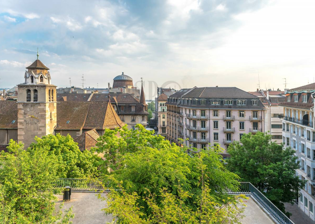 Splendid apartment in the city center