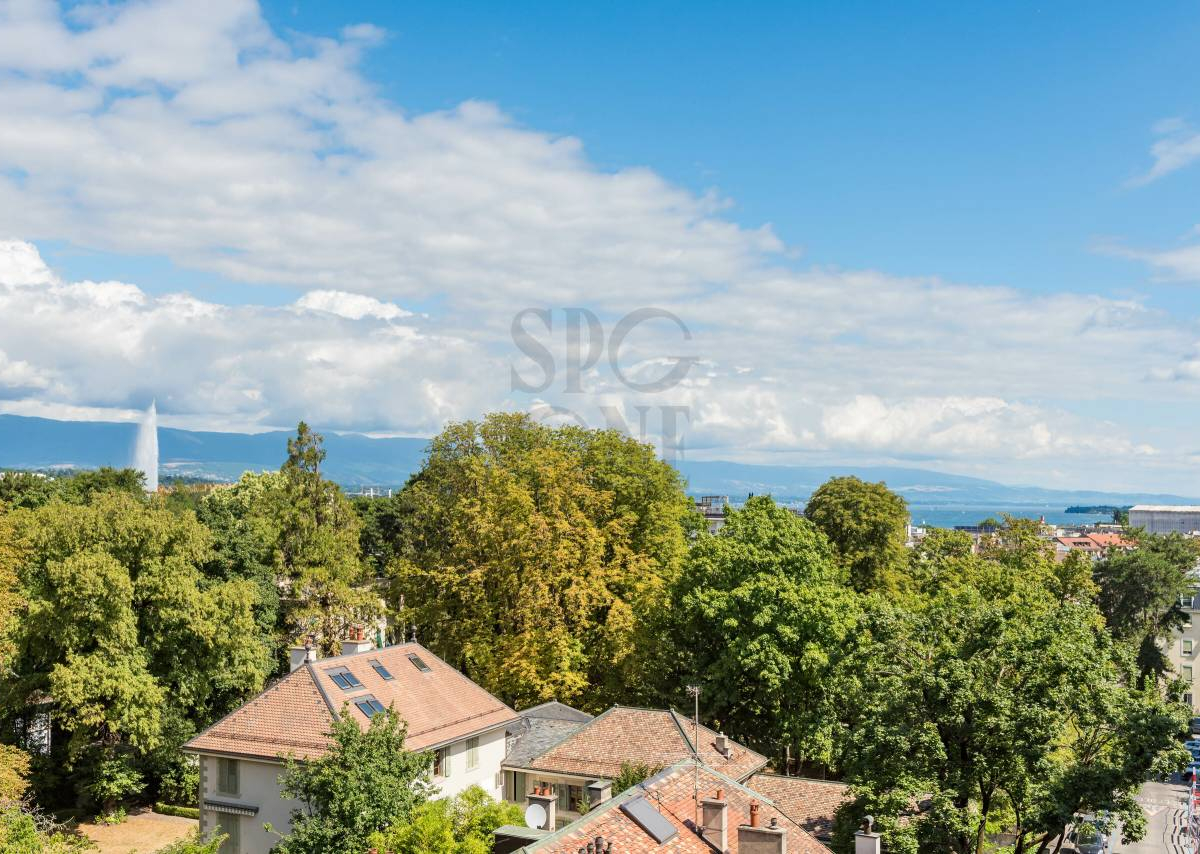 Exclusivité : Spacieux appartement en ville 