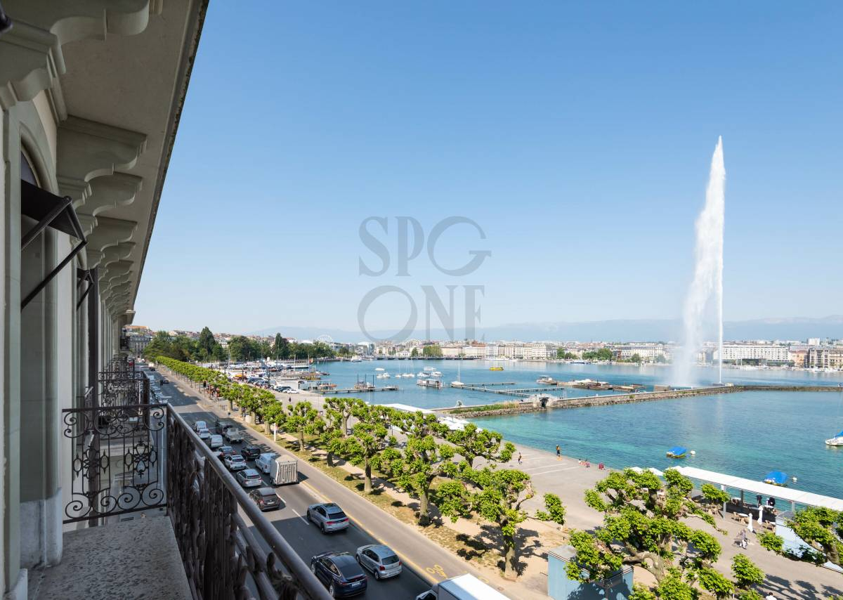 Superbe appartement en face du Jet d'Eau