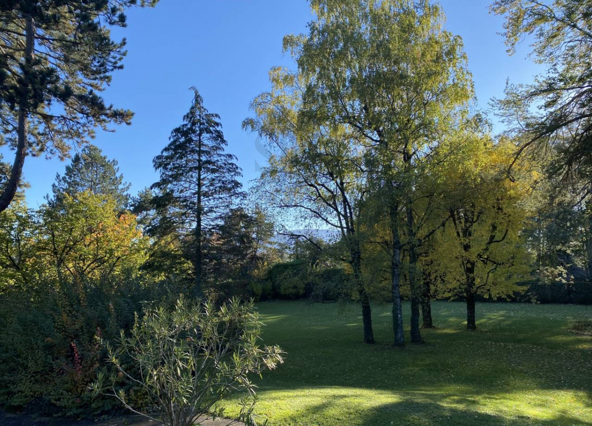Large plot in the heart of Vandoeuvres