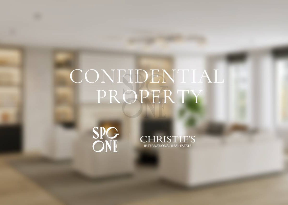Spacious, fully renovated apartment in Champel
