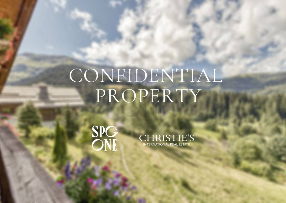 Chalets in the heart of the mountain 