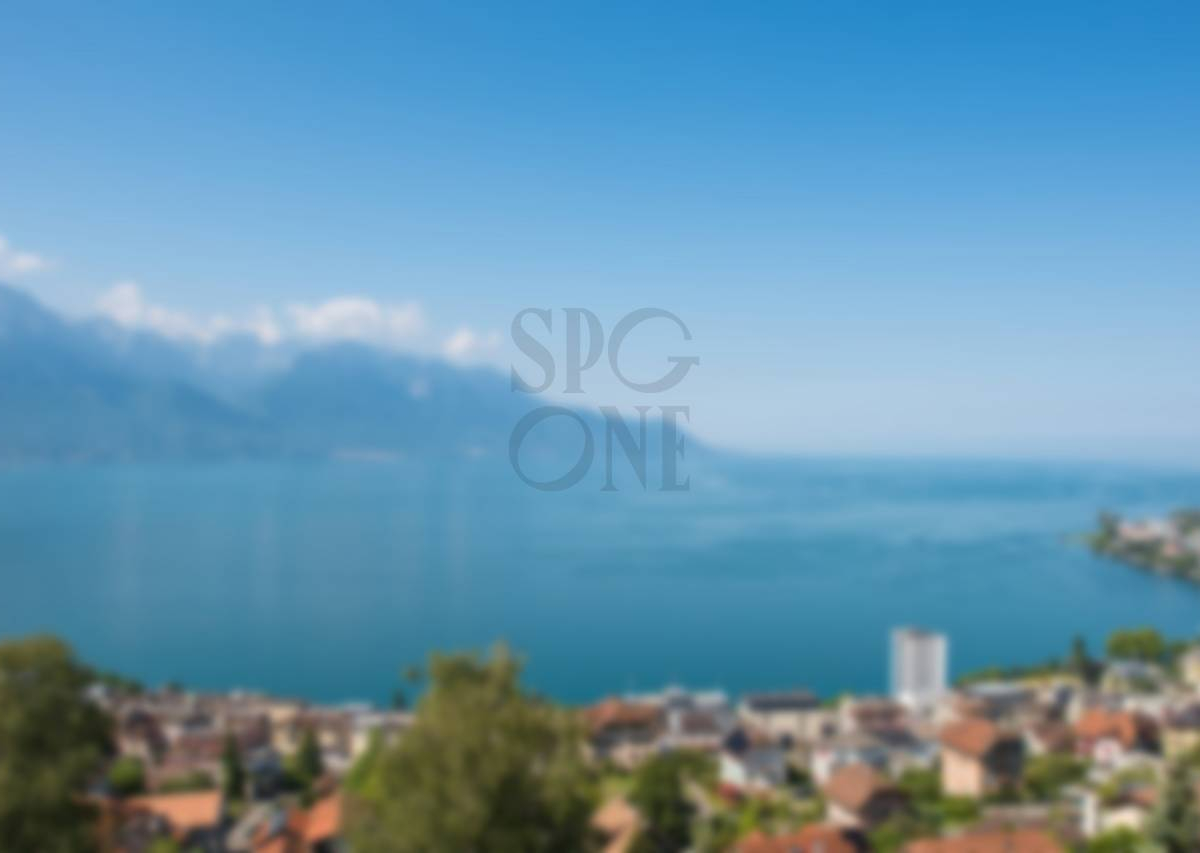 Propriété de haut standing offrant une vue à couper le souffle