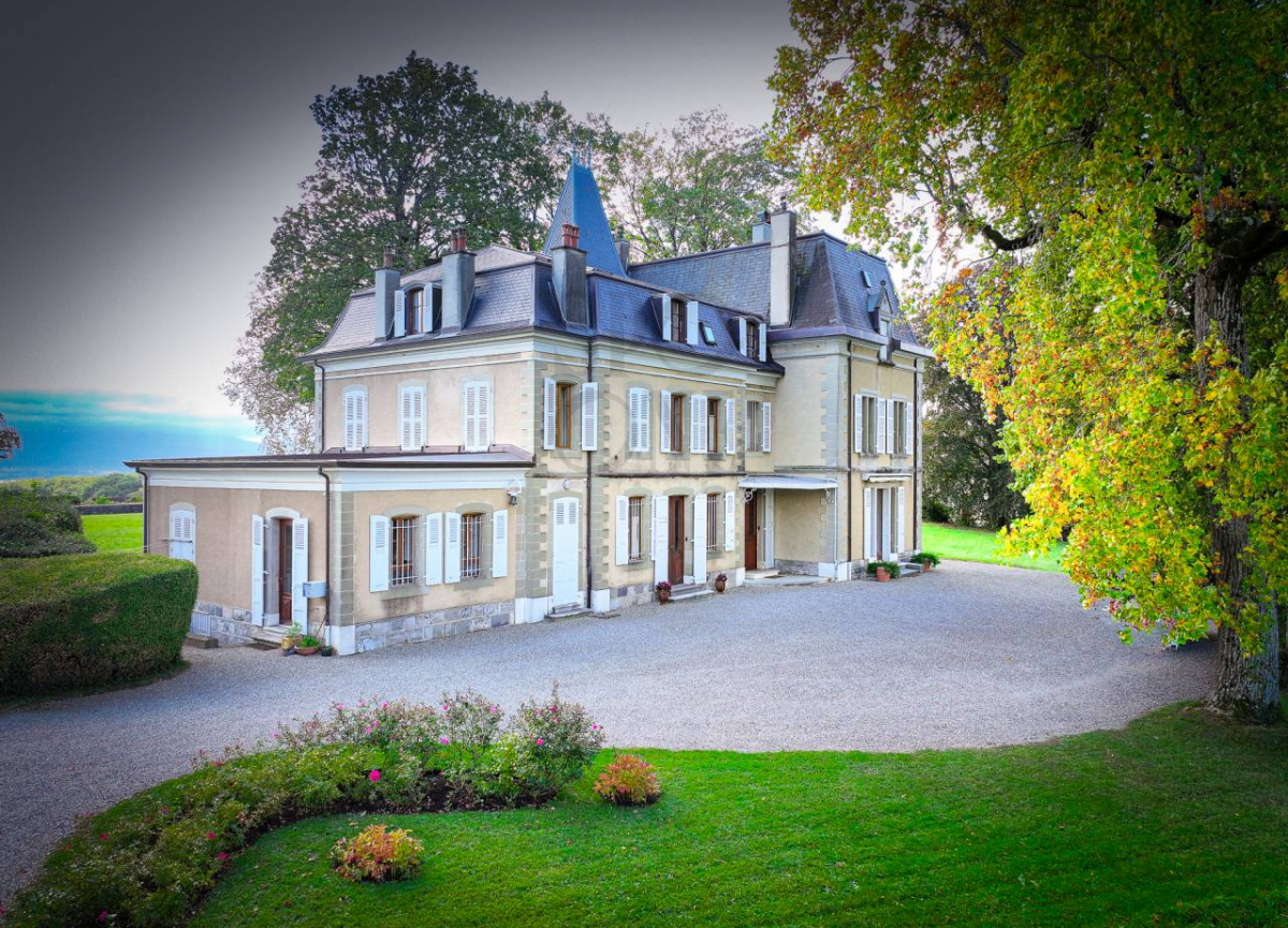 Charming Manor near Nyon