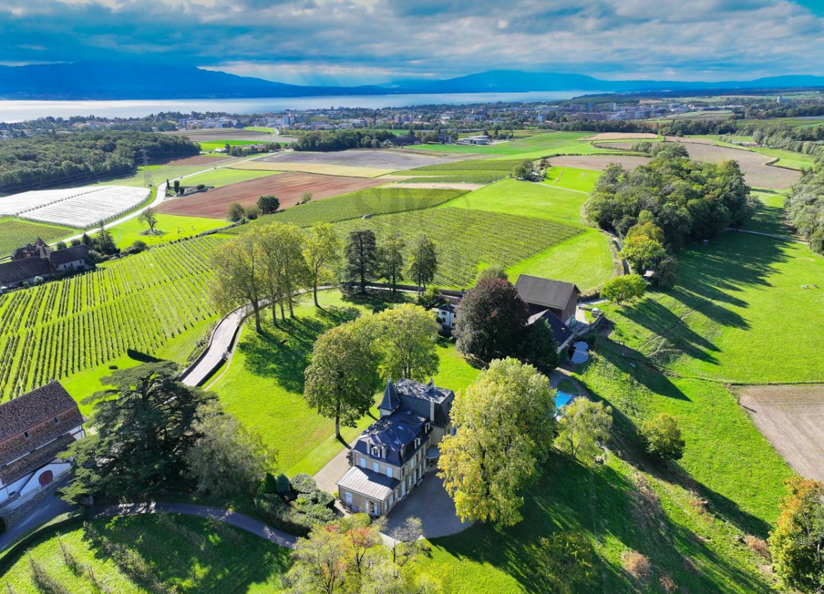 Charming Manor near Nyon