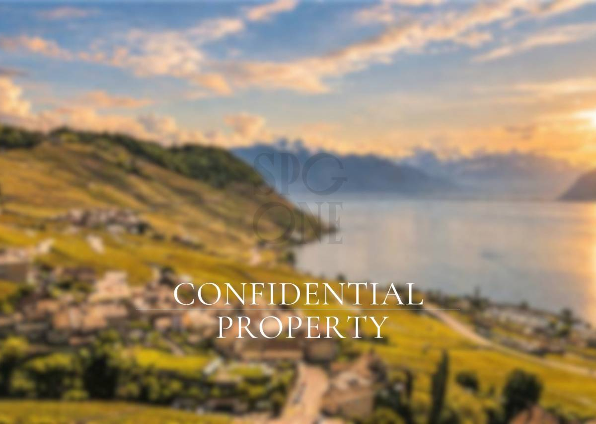 Architect-designed villa in the heart of vineyards with panoramic view