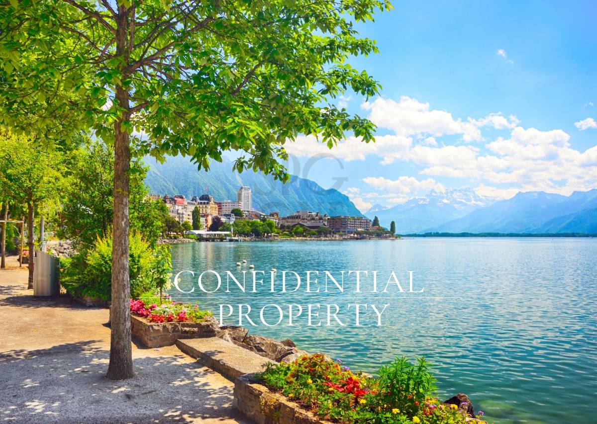 Appartement rénové en première ligne du lac
