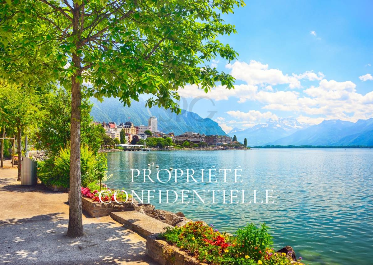 Appartement rénové en première ligne du lac