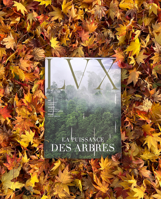 LVX : Le magazine qui fait la lumière sur notre époque